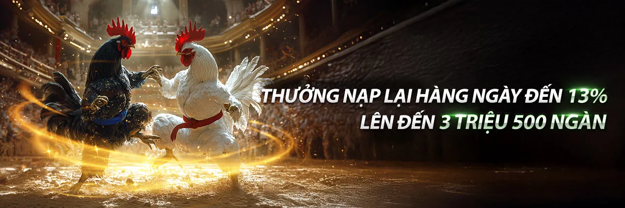 Singbet Sòng bạc trực tuyến sang trọng